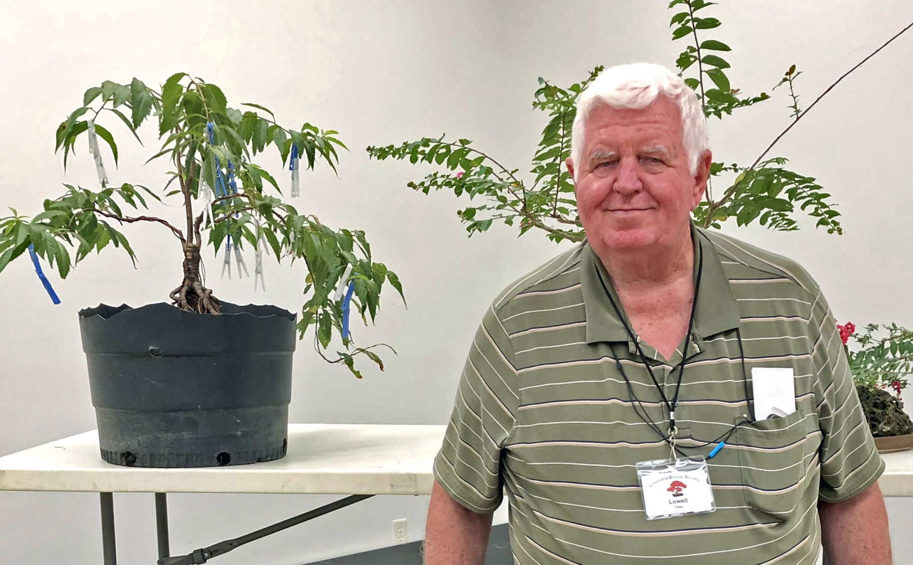clubs.082719.bonsai.jpg
